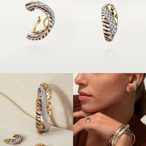 Cartier Ear Clips