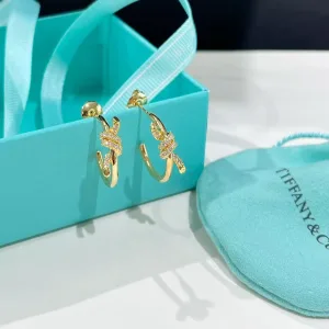 Express Earrings