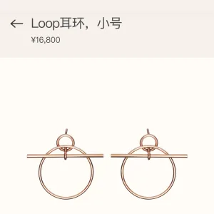 Hermès Earrings