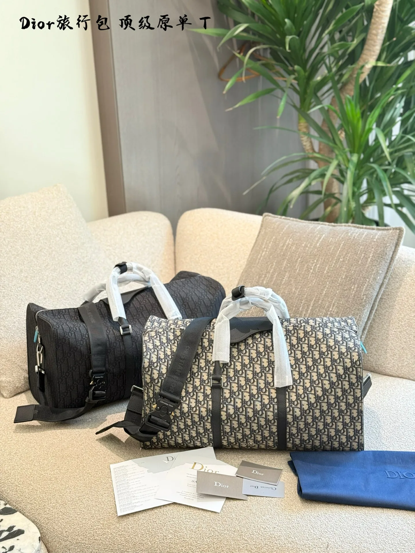 Dior Travel Bag