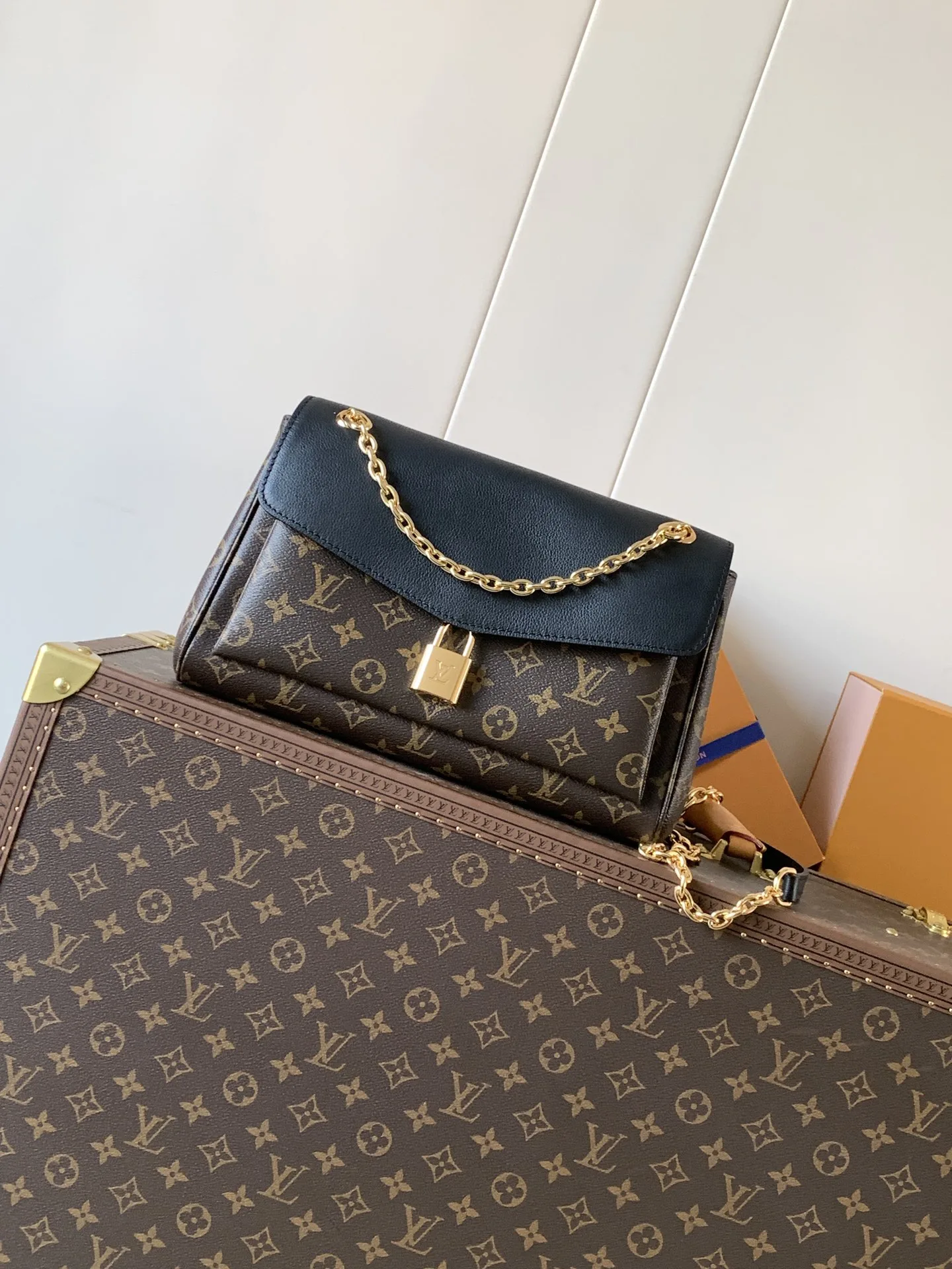 Louis Vuitton Handbag