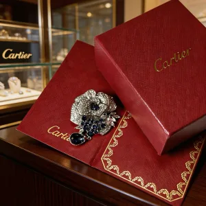 Cartier Brooch