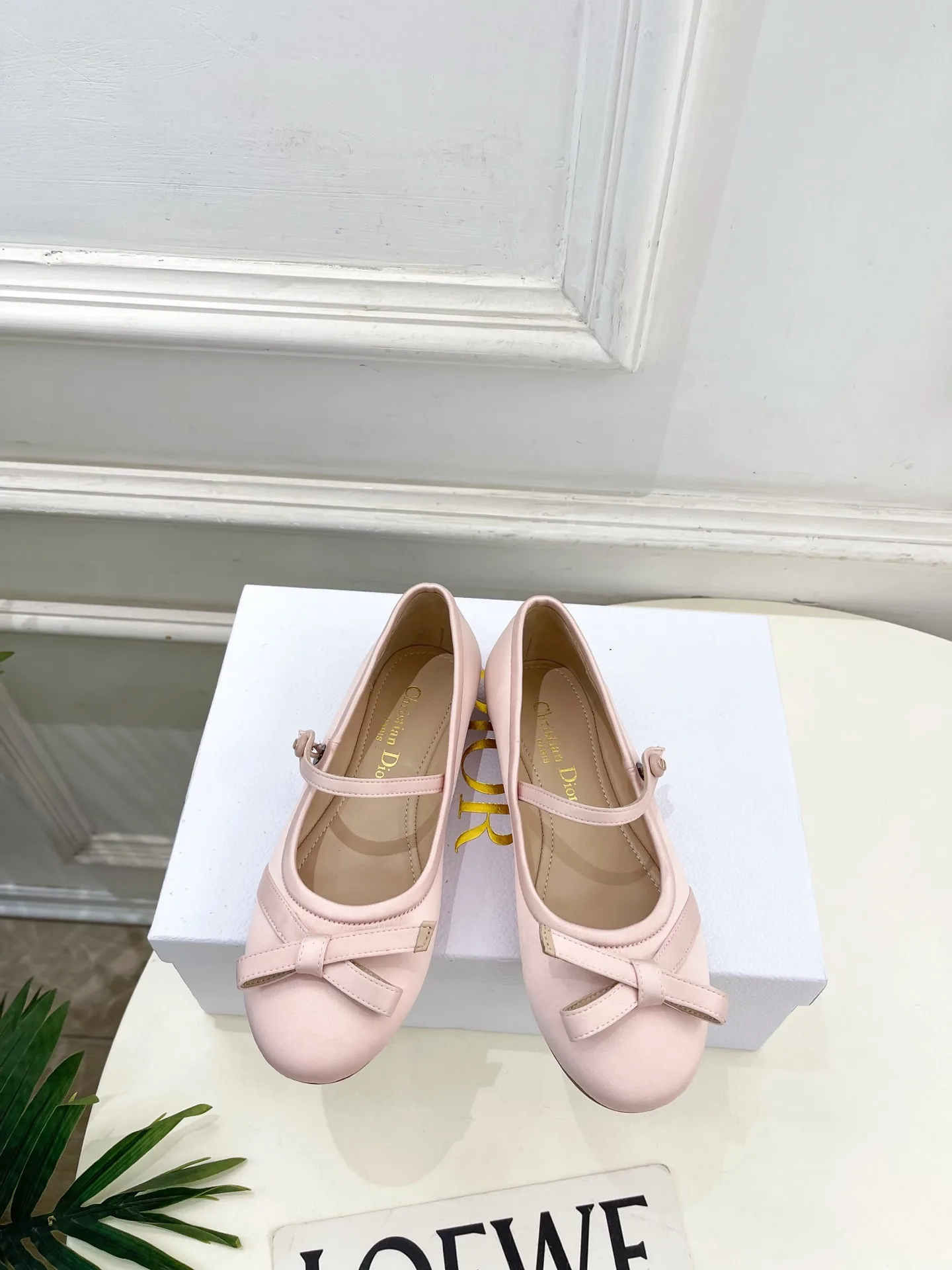 Dior Ballet Shoes