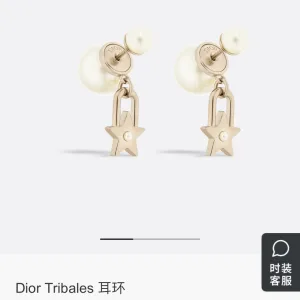 Dior Earrings