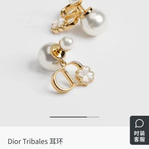 Dior Earrings