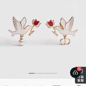 Dior Earrings